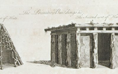 Histoire naturelle de l’architecture
