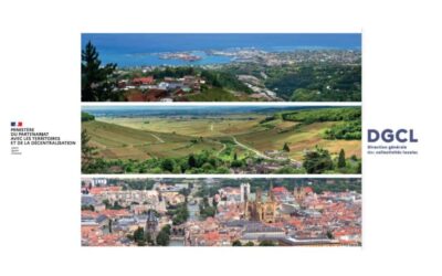 Les collectivités locales en chiffres en 2024