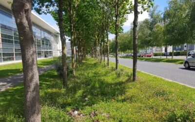 Du zéro artificialisation à la sobriété foncière