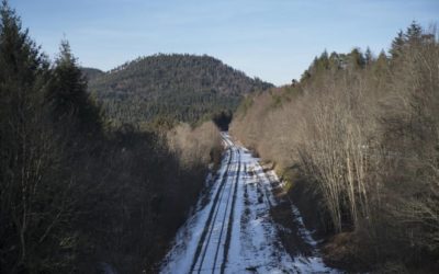 Le renouveau des petites lignes ferroviaires commence dans les Vosges